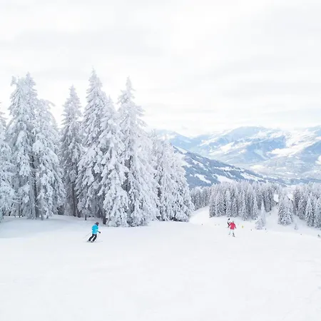Adlerblick Penthouse Mit Panoramaseeblick Ossiacher *